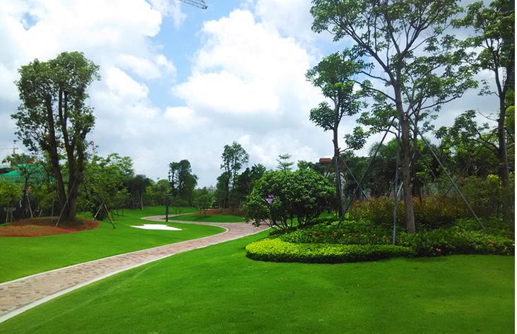 園林干貨│綠化施工流程說明，一定要看！