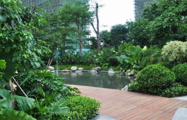 襄陽園林公司分享栽樹五大誤區，您中招了嗎？ 